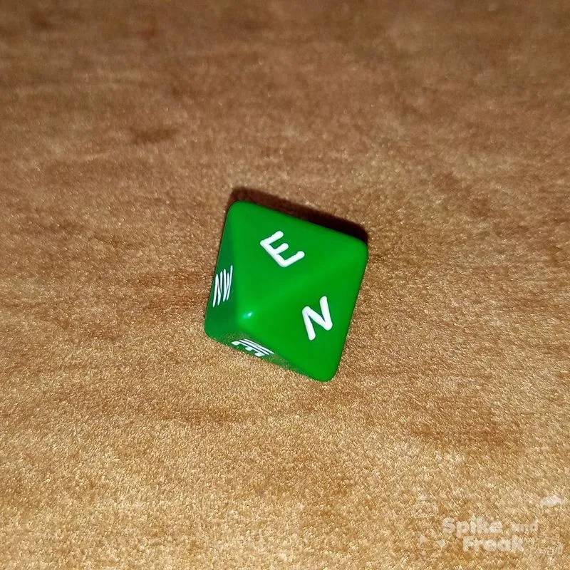 Dado D8 Puntos Cardinales - Imagen 7
